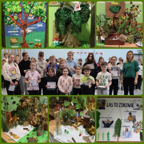 Wyniki z rodzinnego konkursu plastyczno - przyrodniczego "Co nam dają drzewa?"